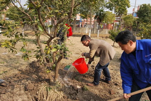 �Ϻ������y�T�S�����L(zh��ng)���������ڽo��ľ����