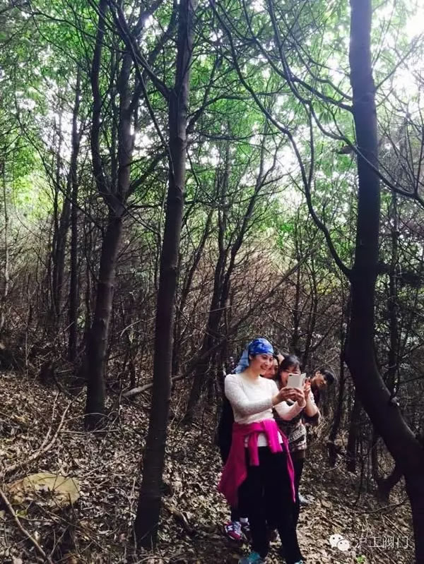 �Ϻ������y�T�S2016���＾ͽ�����л�� �D14