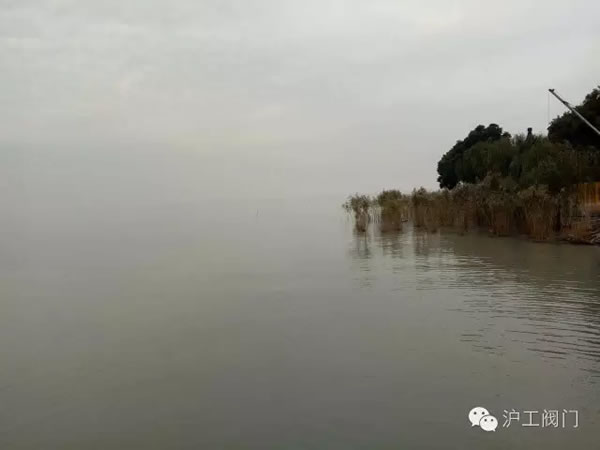 �Ϻ������y�T�S2016���＾ͽ�����л�� �D26