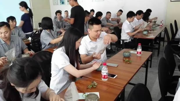 �Aͤ�(zh��n)�F(tu��n)ί(li��n)���Ϻ������y�T�S�_չ΢���^�GֲDIY���(d��ng)���D7��