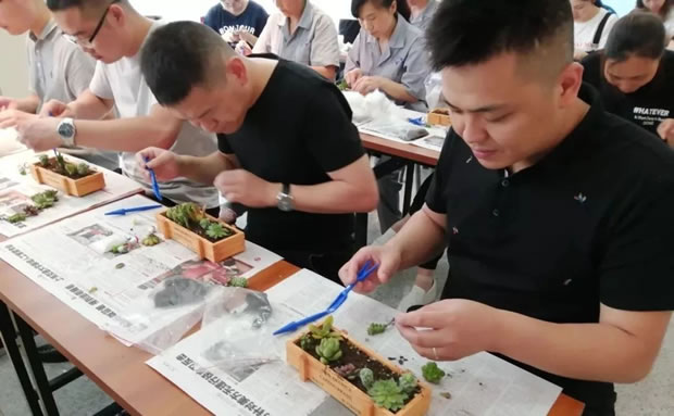 �����y�T�Gɫ��(chu��ng)��DIY���(d��ng)���D2��