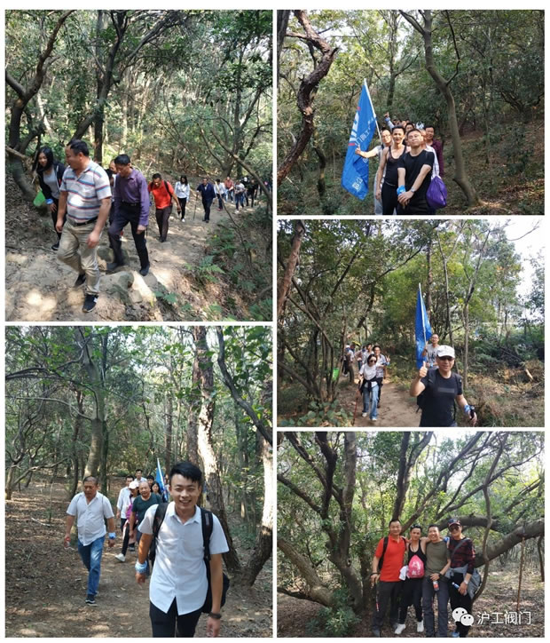 �Ϻ������y�T�S2019���＾ͽ�����л��(d��ng)���D2��