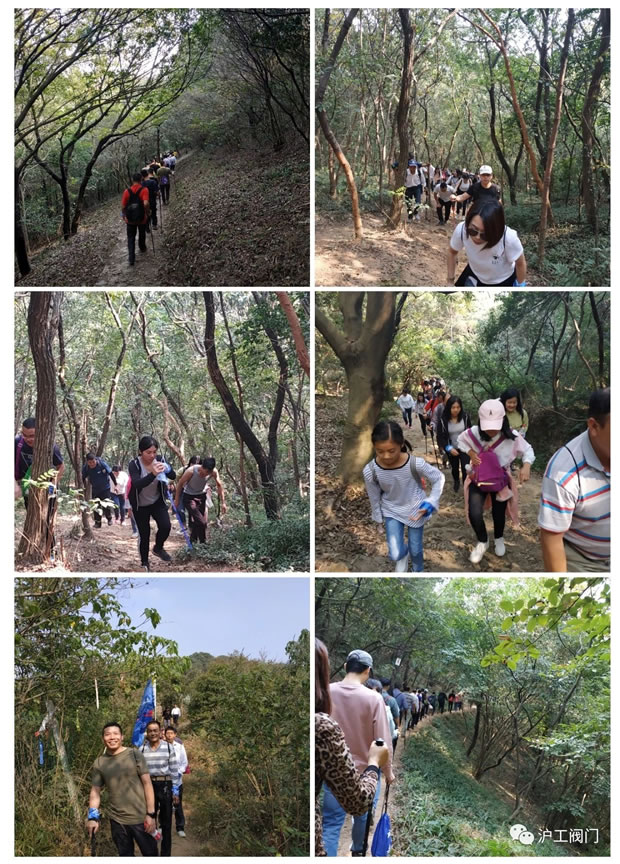 �Ϻ������y�T�S2019���＾ͽ�����л��(d��ng)���D4��