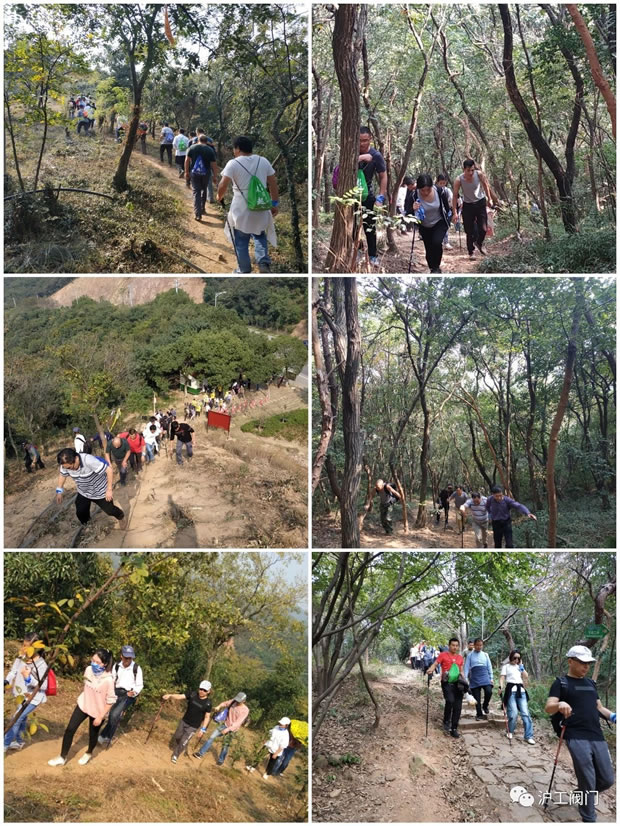 �Ϻ������y�T�S2019���＾ͽ�����л��(d��ng)���D6��