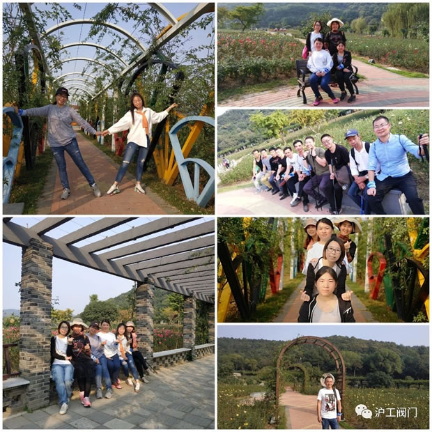 �Ϻ������y�T�S2019���＾ͽ�����л��(d��ng)���D7��