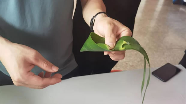 2021���Ϻ������y�T�S���繝(ji��)�����ӻ�ӣ��D2��